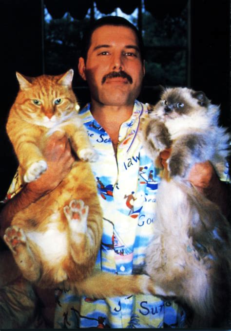 Freddie mercury the lead singer of queen and solo artist, who majored in stardom while giving. Freddie Mercury Died 25 Years Ago Today: 23 Amazing Facts ...