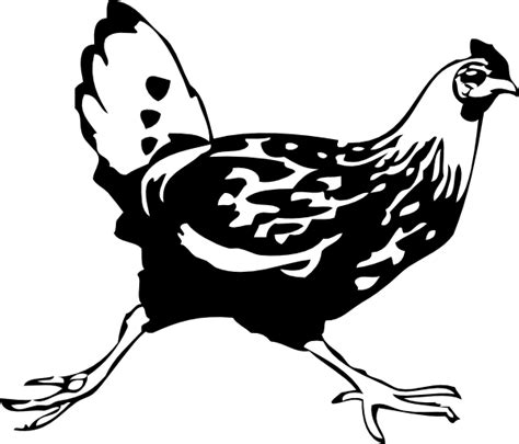 Gokil 52 Gambar Ayam Animasi Png