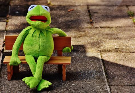 We've gathered more than 5 million images uploaded by our users and sorted them by the most popular ones. Kermit Wallpapers - Wallpaper Cave