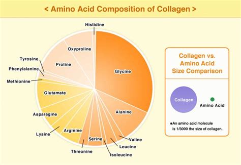 Amino Acids For Skin And Hair Ajinomoto Vietnam