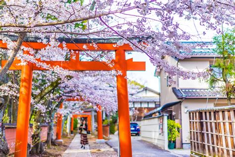 Travel Note Of Kyoto For Cherry Blossoms Part 4 Takenaka Inari Shrine