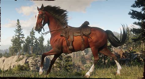 Horses And Saddles Red Dead Redemption 2 Wiki