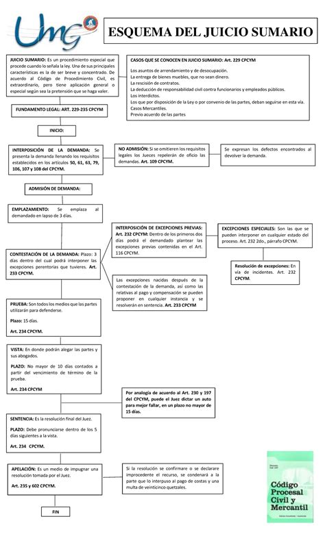 Esquema Del Juicio Sumario Esquema Del Juicio Sumario Juicio Sumario