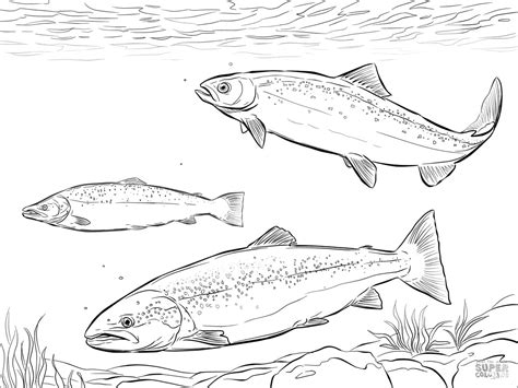 Download Salmon Coloring Pages - ColoringBay
