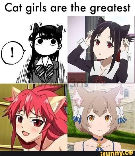 Cat Girls Are The Greatest Ifunny Cat Girl Anime Anime Neko