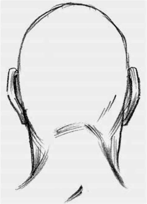 Back Of Head Drawing D Try Drawing The Head In Simple Planes In A