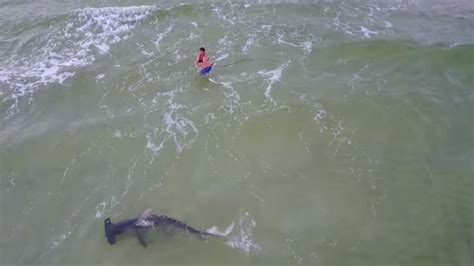 Throughout the entire film it's been building up to their inappropriate dance competition, and this. VIDEO: Fisherman hauls in large hammerhead shark on ...