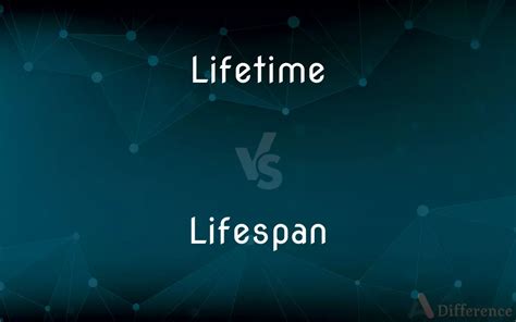 Lifetime Vs Lifespan — Whats The Difference