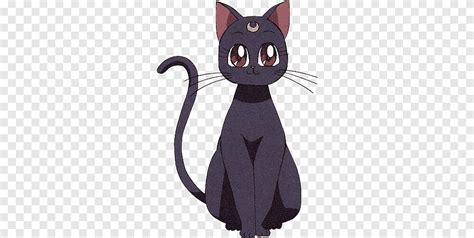 Luna Sailor Moon Sailormoon Black Cat Character Png Pngegg