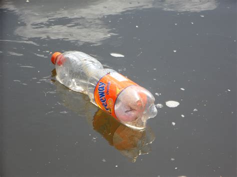 Plastic Water Bottle Waste
