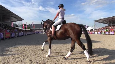 Is gevestigd in ijmuiden, de belangrijkste vissershaven in nederland, en is al meer dan 70 jaar één van de leidende groothandel en visverwerkers in nederland. Bit op Horse Event: Britt Dekker - YouTube