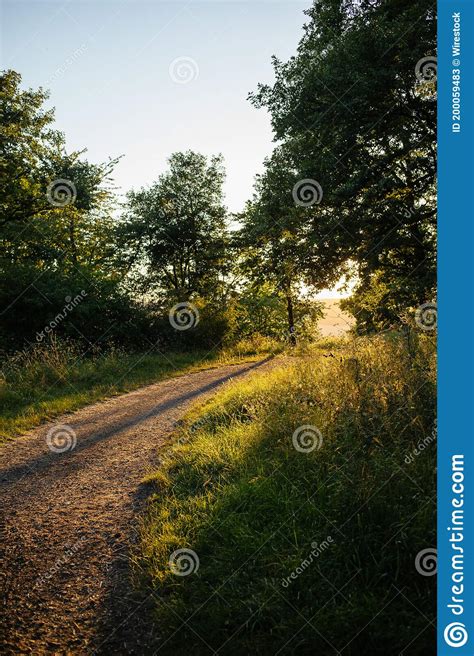 Pathway Surrounded By Greens And Trees In The Park Stock Image Image