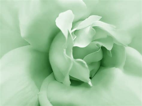 Pastel shades of mint green. Pin by Debi Halfmann on Verde menta | Mint green aesthetic ...