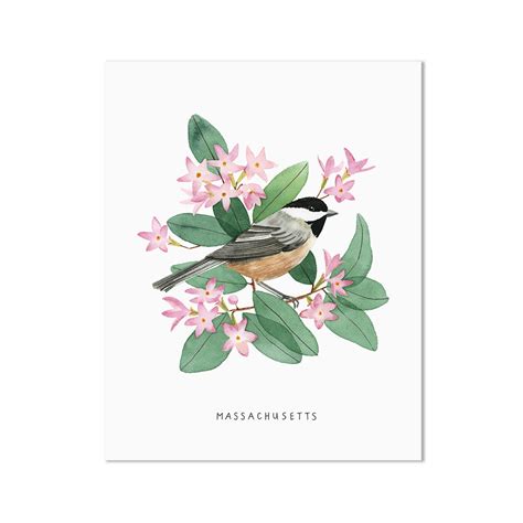 Massachusetts State Bird Art Print Massachusetts Chickadee Etsy