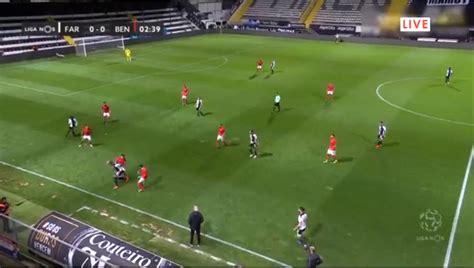 Futebol em direto (ver transmissões disponíveis). Assistir Farense Benfica online, grátis e com excelente ...