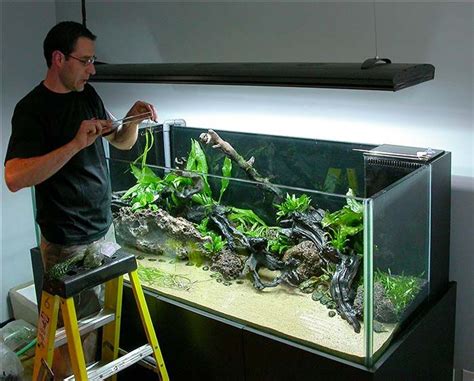 Learn how to build and maintain planted aquariums. Aquascaping Live DIY Background http://www.aquaticplantcentral.com/forumapc/diy-aquarium ...