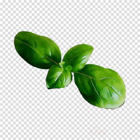 Maybe you would like to learn more about one of these? Library of free transparent lemon stem leaf clipart ...