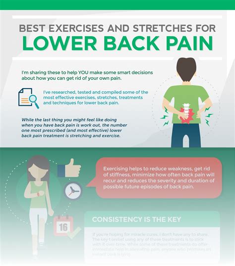 9 Best Exercises For Lower Back Pain Infographic Physical Therapy Web