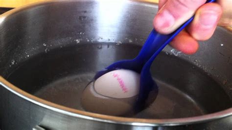 Eier KOCHEN Anleitung Tipps Tricks