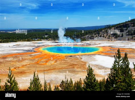 Famous Trail Of Grand Prismatic Springs In Yellowstone National Park From High Angle View