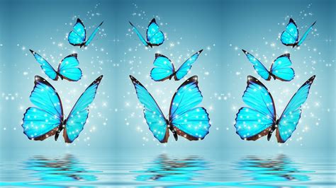 Blue Butterfly Desktop Backgrounds Hd 2020 Cute Wallpapers