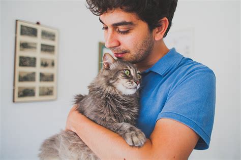 Cat Lovers Connect And Create Feline Focused Couples Animal Health