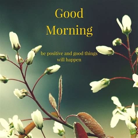 Good morning quotes for whatsapp. Good Morning Images, 3D GIF, HD Pics & Photos Free Download