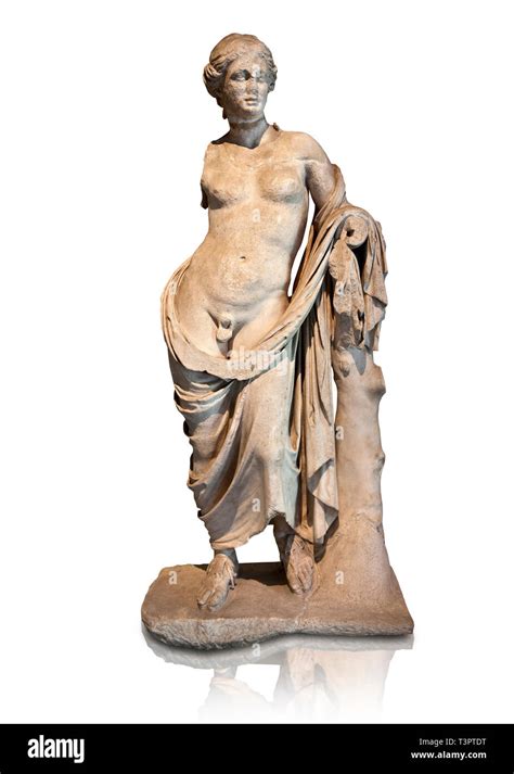 Statue De Marbre Grec Hermaphroditius Les Hermaphrodites Un être