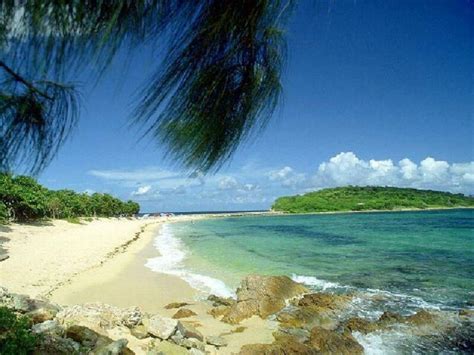 Tropical Desktop Backgrounds - Wallpaper Cave