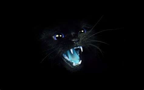 I Love Papers Mj55 Black Cat Blue Eye Roar Animal Cute