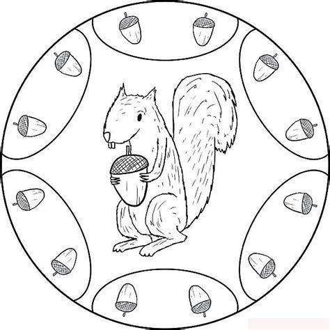 eichhörnchen mandalas ausmalbilder | Ausmalbilder, Tiere zum ausmalen