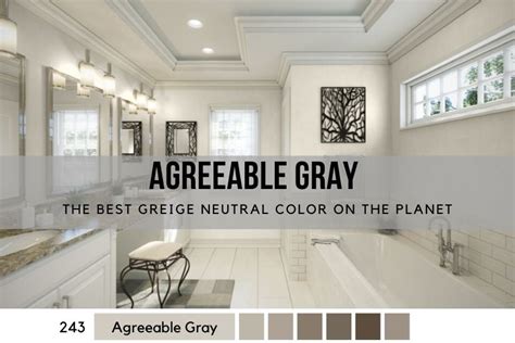 Agreeable Gray Paint Color Sw7029 By Sherwin Williams Is