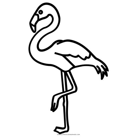 Flamingo Desenho Para Colorir Ultra Coloring Pages