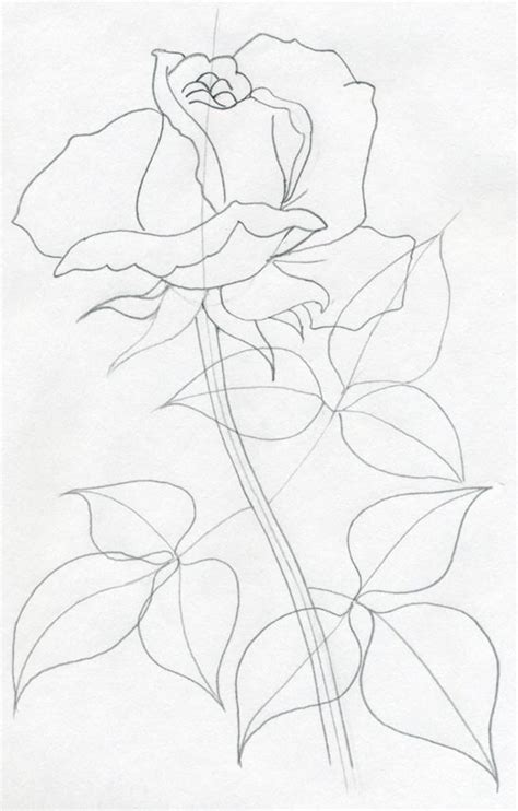 Draw a Rose Quickly, Simply And Easily