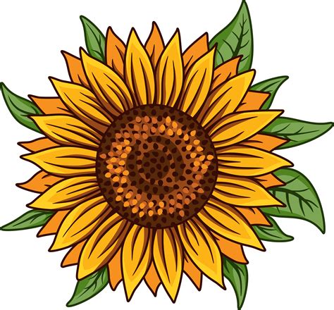 Sunflower SVG Digital Download Sunflower PNG White | Etsy in 2021 | Sunflower clipart, Sunflower ...