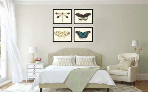 Butterfly Print SET Of 4 Art Print NODD Antique Dragonfly Etsy
