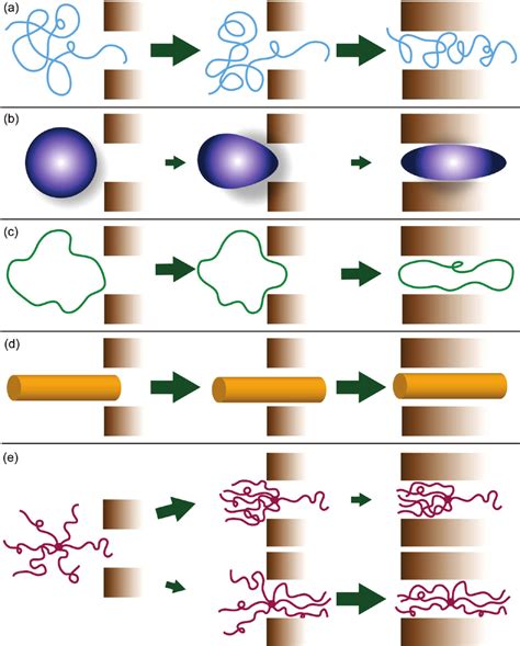 Polymer Architecture And The Passage Of A Polymer Through A Pore For