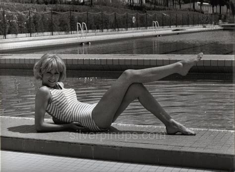 Orig Mireille Darc In Swimsuit Pin Up Glamour Over Sized Portrait Galia Silverpinups