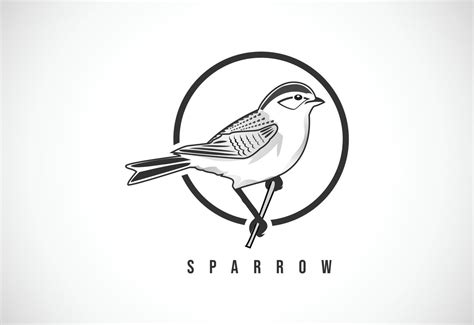 Sparrow In A Circle Sparrow Logo Design Template Vector Illustration