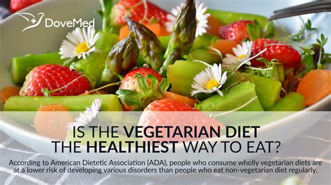 Is The Vegetarian Diet The Healthiest Way To Eat?