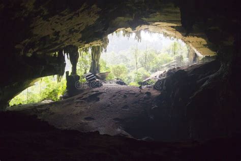Niah Cave Stock Photo Image Of Flora Jungle Green 66230358