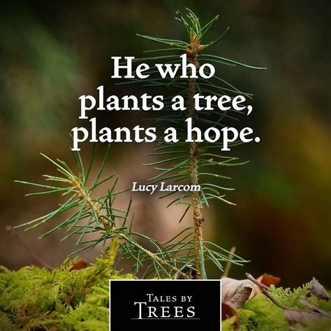 Quote Inspirational Nature Talesbytrees Inspirational Quotes