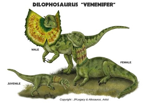 Dilophosaurus Venenifer Return To New Lands Wikia Fandom Powered