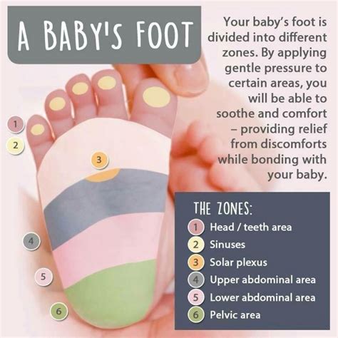 Baby Feet Diagram And Baby Massage Kesehatan Bayi Pijat Bayi