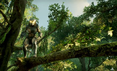 Search, discover and share your favorite predator hunting grounds gifs. Predator: Hunting Grounds Wallpapers - Wallpaper Cave