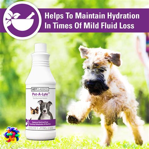 Vet Classics Pet A Lyte Oral Electrolyte Solution For Dogs And Cats