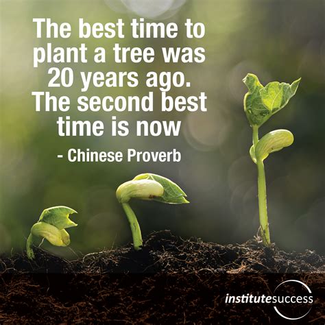 Https://tommynaija.com/quote/the Best Time To Plant A Tree Quote