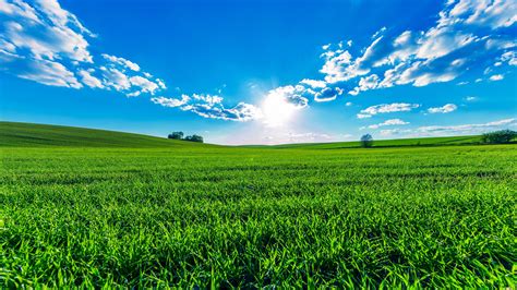 Wallpaper Green Fields Blue Sky Clouds Sun Beautiful Summer 3840x2160 Uhd 4k Picture Image