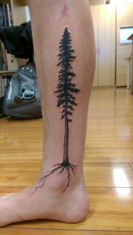 Redwood Tree Tattoo Tumblr More Tree Tattoo Calf Tree Tattoo Men