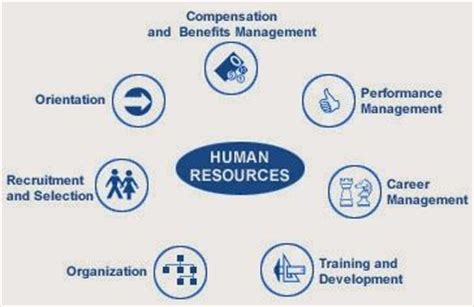 A human resource information system is also called personnel information system, and is concerned with activities related to previous, current and potential employees of the organization. Pinterest • The world's catalog of ideas